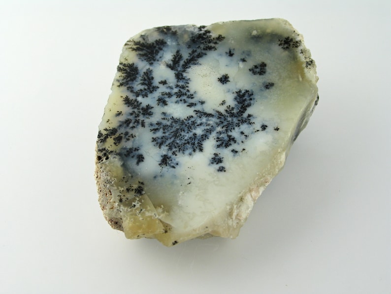 Rock Collections Forest Branches Lapidary Mineral Specimen Excellent Dendrite Rock Specimen Sale Price Dendritic Specimen