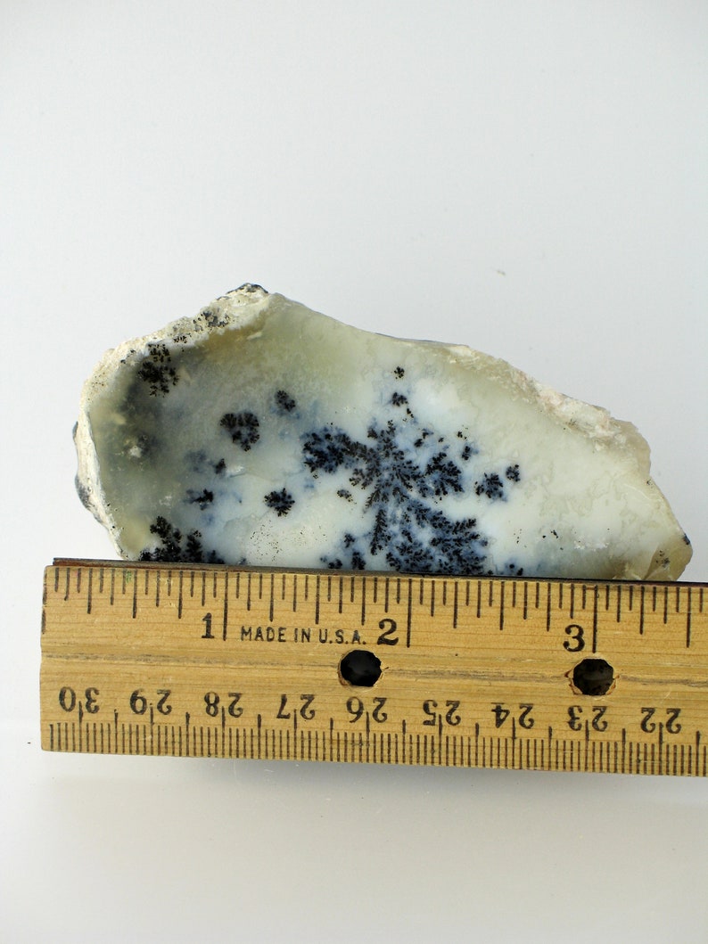 Rock Collections Forest Branches Lapidary Mineral Specimen Excellent Dendrite Rock Specimen Sale Price Dendritic Specimen