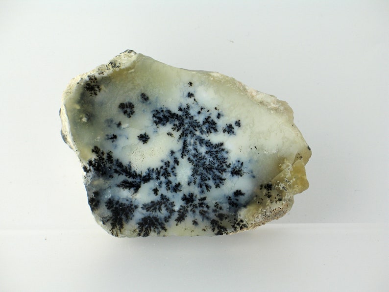 Rock Collections Forest Branches Lapidary Mineral Specimen Excellent Dendrite Rock Specimen Sale Price Dendritic Specimen