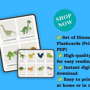 Dinosaur Flashcards | Educational Printable for Kids | Montessori Learning Cards | Preschool & Toddler Dino Flash Cards | Instant Download