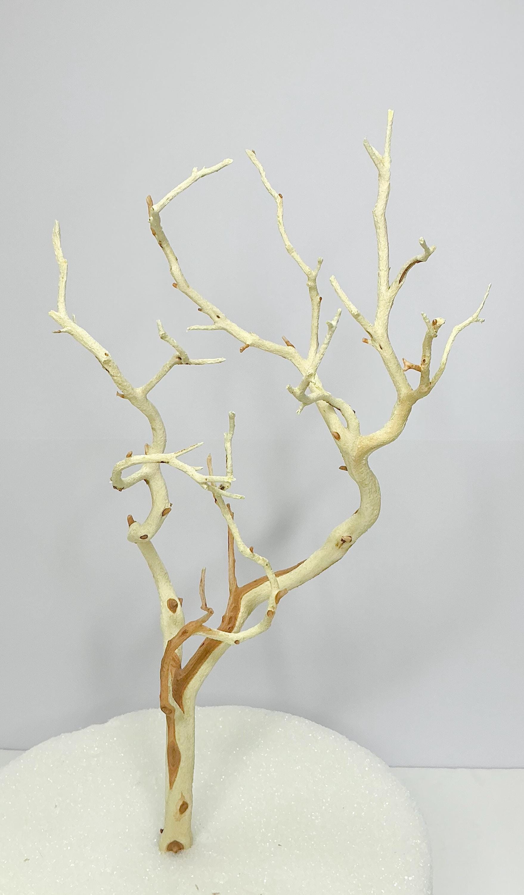 Sandblasted Manzanita Branch (16-18"): Natural Home Accent, Terrarium Decor