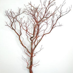 12 - 14 Inch Natural Manzanita Branches for Centerpieces Aquarium Wood Terrariums Bird Perch Reptile Decor DIY Crafts Rustic Wedding Decor