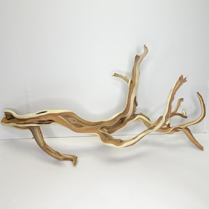 23-26" Two Tone Sandblasted Manzanita: Wedding Centerpiece, Reptile Perch, Bird Perch, Crafting, Decor, Aquarium