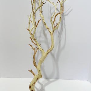 May include: A white bleached branch with brown accents. The branch is a natural material and has a rustic look. It is perfect for adding a touch of nature to your home decor.