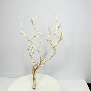 20-22” Sandblasted Manzanita Branches: Wedding Centerpiece, Reptile Perch, Bird Perch, Crafting, Decor, Aquarium