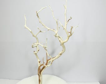 20-22” Sandblasted Manzanita Branches: Wedding Centerpiece, Reptile Perch, Bird Perch, Crafting, Decor, Aquarium