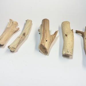 5-10” Sandblasted Manzanita Wood (set of 6): Natural Trunks for Crafts and Decor