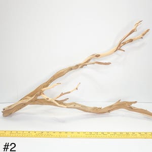 2 Tone Sandblasted Manzanita Branches for Terrariums, Aquarium Decor, Reptile Climbing Wood, DIY Crafts, Natural Wood, Rustic Wedding Center