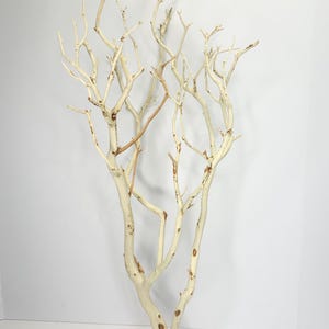24-26" Sandblasted Manzanita Branches: Wedding Centerpiece, Reptile Perch, Bird Perch, Crafting, Decor, Aquarium image 2