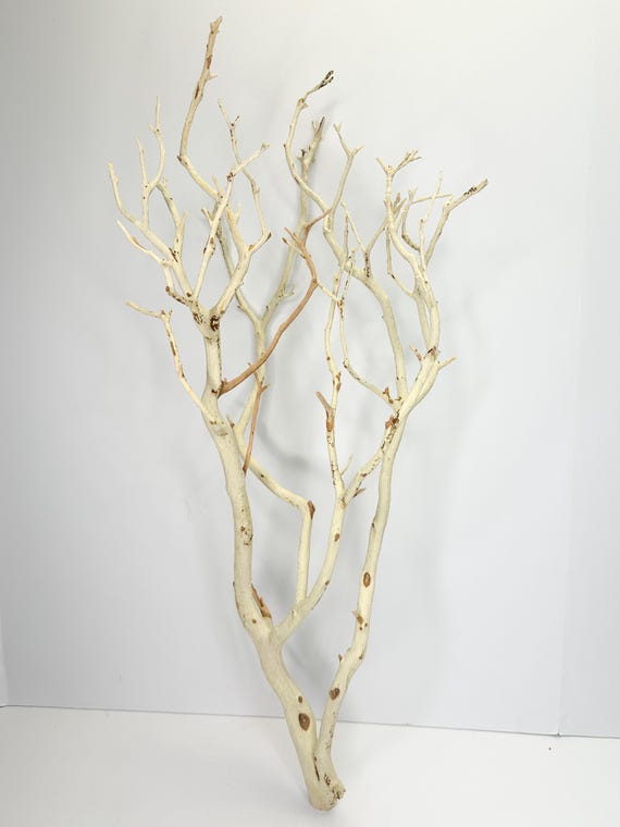 24-26" Sandblasted Manzanita Branches: Wedding Centerpiece, Reptile Perch, Bird Perch, Crafting, Decor, Aquarium