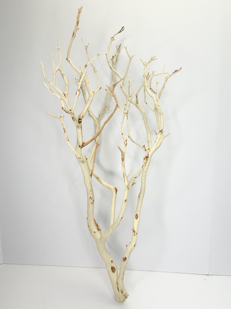 24-26" Sandblasted Manzanita Branches: Wedding Centerpiece, Reptile Perch, Bird Perch, Crafting, Decor, Aquarium image 2