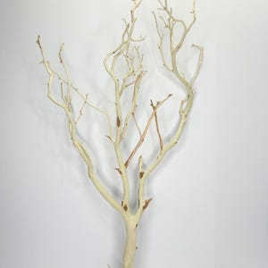 24-26" Sandblasted Manzanita Branches: Wedding Centerpiece, Reptile Perch, Bird Perch, Crafting, Decor, Aquarium image 8