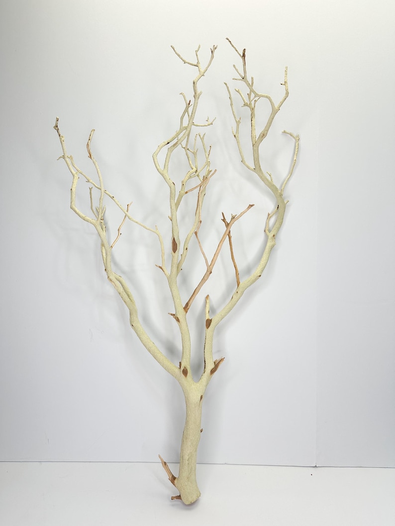 24-26" Sandblasted Manzanita Branches: Wedding Centerpiece, Reptile Perch, Bird Perch, Crafting, Decor, Aquarium image 8