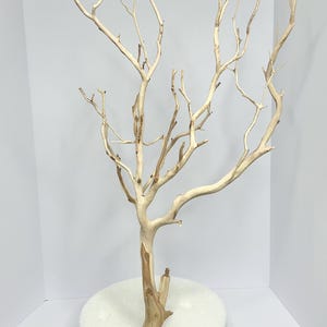 May include: A white driftwood branch tree with a natural brown base, standing on a white round foam base.