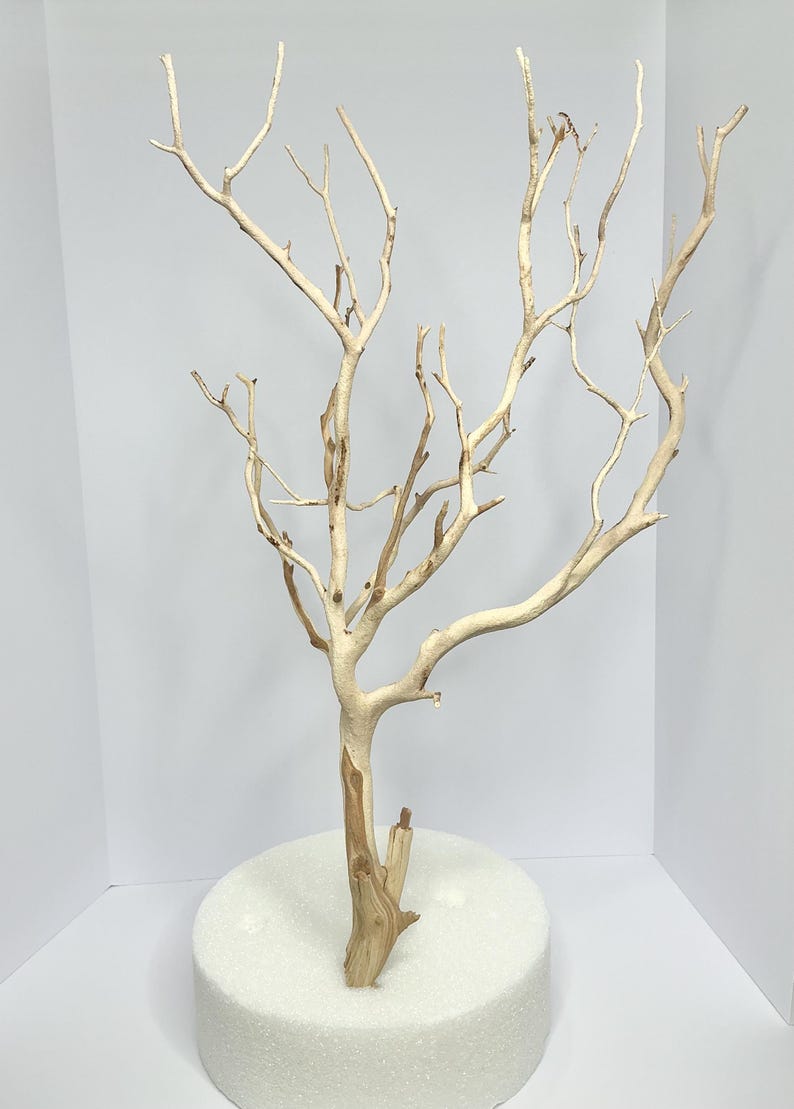 May include: A white driftwood branch tree with a natural brown base, standing on a white round foam base.