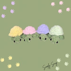 Land Turtles