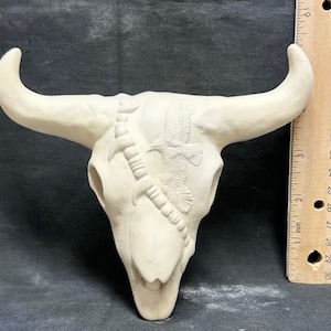 Può includere: Cranio di toro in ceramica bianco sporco con grandi corna ricurve. Un disegno inciso di un'aquila ed elementi decorativi adornano il cranio. Un righello è posto accanto al cranio per la scala, con misure in centimetri.