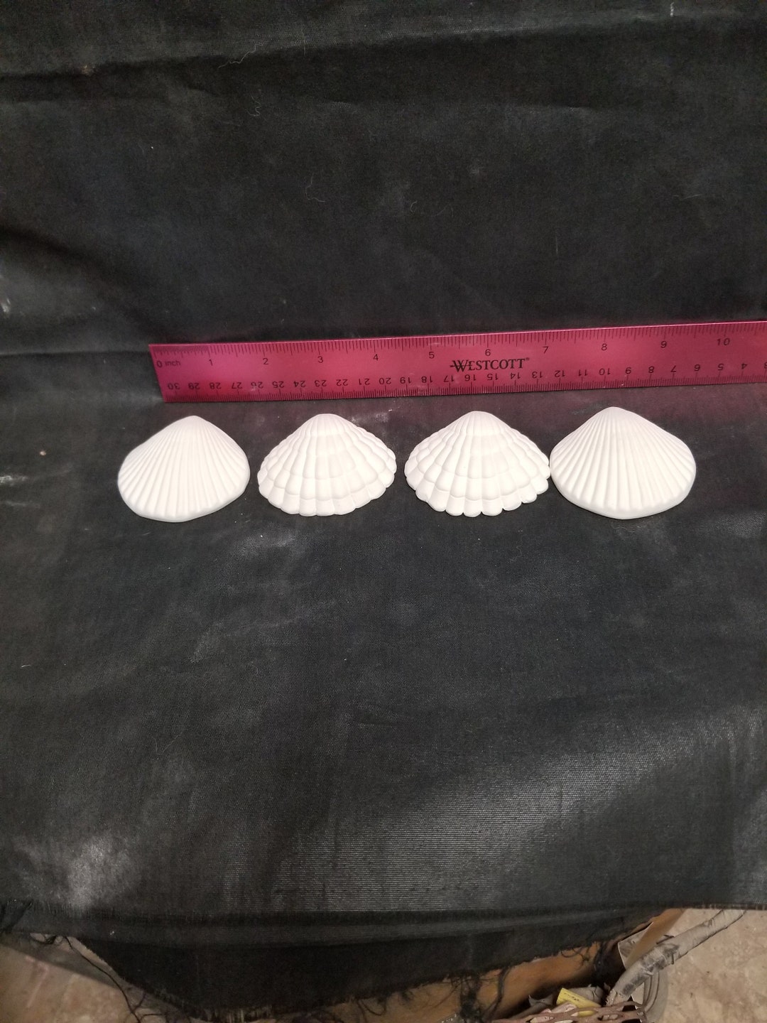 Ready to Paint Ceramic Set of 4 Shells Etsy