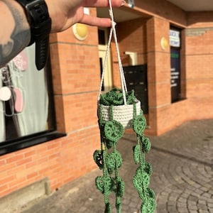 Peut inclure: Un pot de fleurs suspendu au crochet fait à la main, avec un panier blanc et des feuilles vertes en forme de cœur. Le pot est suspendu par des cordons blancs. Le texte "le résultat final" est en bas.