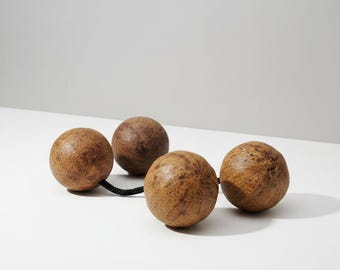 Auténtico Asalato (Kashaka) natural de Ghana – Percusión africana profesional – Sonajero de calabaza Swawa orgánico – Instrumento rítmico Thelevi