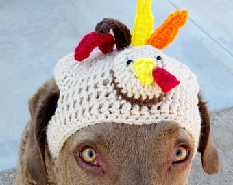 Thanksgiving Turkey Dog Hat . Fancy 