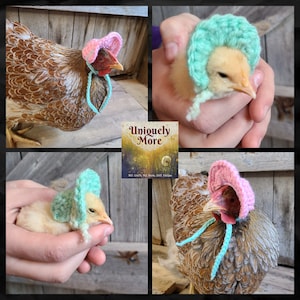 Crochet Pattern, Bonnet for chickens, Sunday Bonnet, Little Red Hen Hat, Hat for Chicken, Easter Bonnet, chicken hat, chicken bonnet, chick