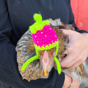 Strawberry Chicken Hat,banty Hat,duck Hat,crochet Hat,chicken Costume ...
