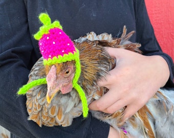 Strawberry Chicken Hat,Banty Hat,Duck Hat,Crochet Hat,Chicken Costume,Hat for a Chicken,Chicken Gift,Crochet chicken hat, Strawberry hat