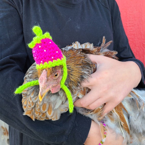 Strawberry Chicken Hatbanty Hatduck 