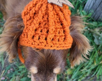 Pumpkin Dog hat/ Pumpkin Hat/ Cat Hat/ Pet Hat/ Crochet Hat/ Goat Hat/ Halloween Costume/ Halloween  Hat/ Dog Clothes / Cat Clothes /Pumpkin
