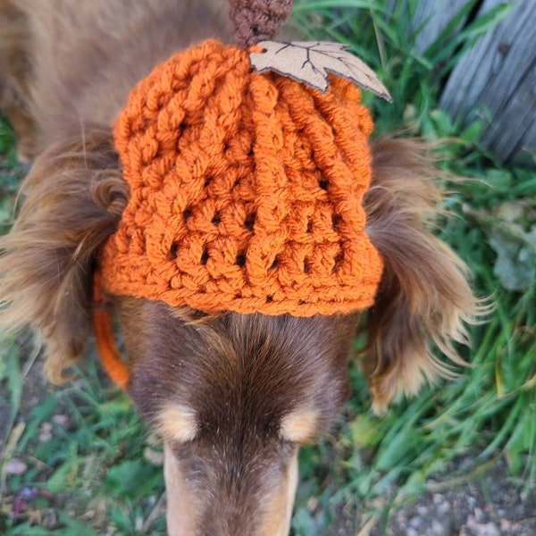 Crochet Dog Hat - Etsy