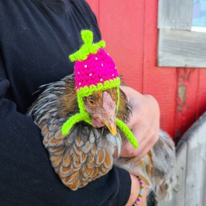 Strawberry Chicken Hat,banty Hat,duck Hat,crochet Hat,chicken Costume ...