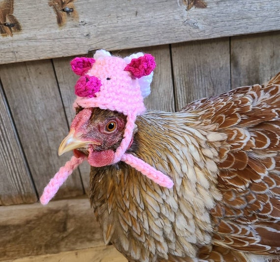 Chicken hat discount