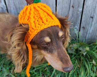 Dog Outfit - Etsy
