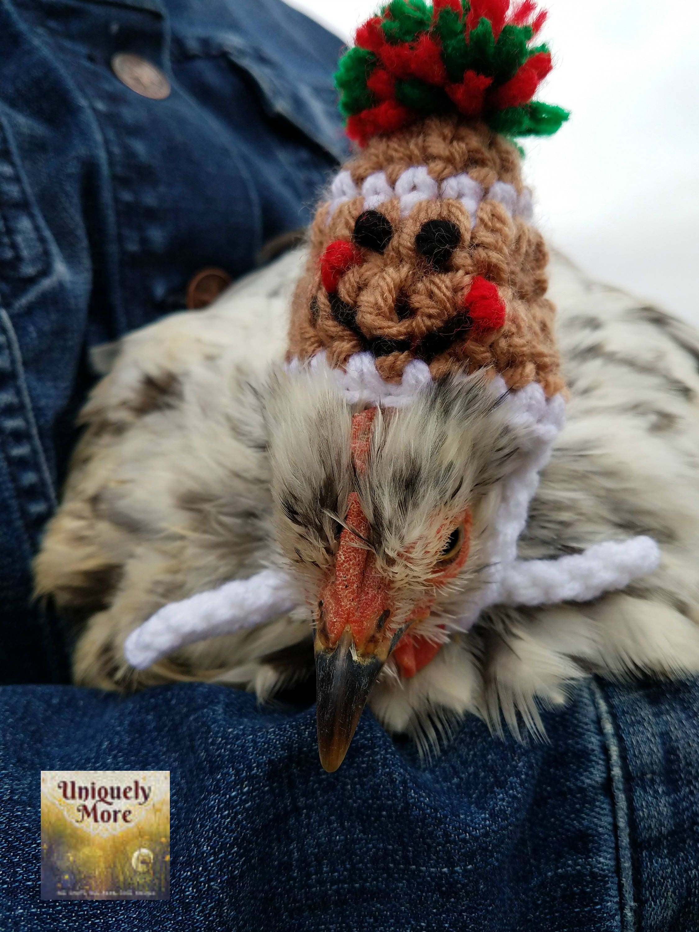 Chicken Hat,Gingerbread Hat,Turkey Hat 