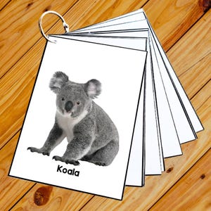 FOREST ANIMALS - 50 Editable Montessori Cards- Flash Cards Nomenclature FlashCards