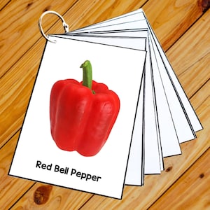 Vegetables - 50 Editable Montessori Cards- Flash Cards Nomenclature FlashCards