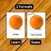 FRUITS - 50 Editable Montessori Cards- Flash Cards Nomenclature ...