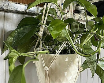 Macrame Indoor Outdoor Plant Holder Made with Organic Cord and Wooden Beads