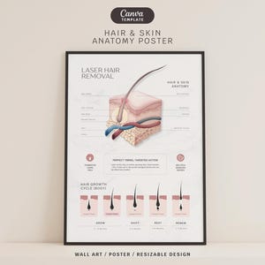 May include: A framed poster titled "Hair & Skin Anatomy Poster" with a black frame. The poster features an illustration of a hair follicle and a diagram of the hair growth cycle. The poster also includes the text "Laser Hair Removal".