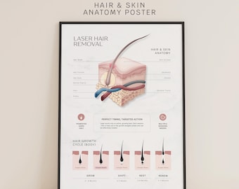 Affiche sur l'épilation au laser | Anatomie du poil et de la peau
