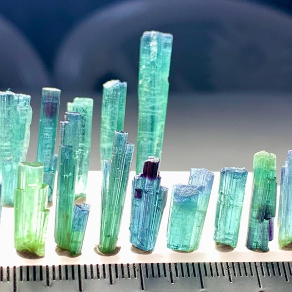 56.10 Ct Well Terminated Tourmaline Indicolite Blue Bi Colour Bunch Crystals Lot From Afghanistan