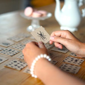 Käfer Memory Bastelset PDF – DIY Memory Spiel zum Ausdrucken – Bastelvorlage für Kinder, Kreatives Spielzeug, Lernspiel für Kinder