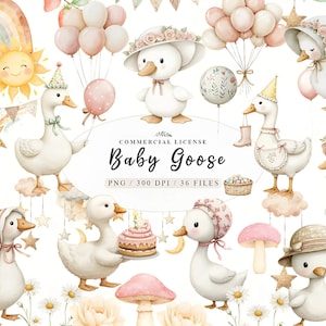 Water Color Cute Baby Silly Goose Clipart, Silly Goose Birthday Clipart for kids, One Silly Goose PNG, Funny White Goose Clipart.