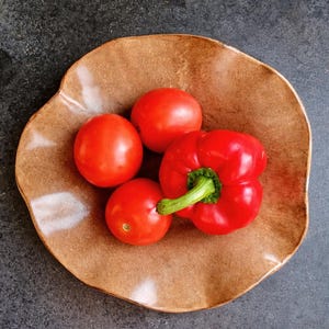 Può includere: Un piatto in ceramica marrone contiene tre pomodori rossi e un peperone rosso con un gambo verde. Il piatto ha una forma organica e una superficie strutturata. Le verdure sono fresche e vibranti.