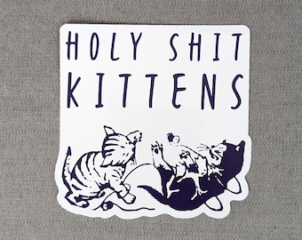 Holy Shit, Kittens! | Funny Sticker | Gift for Cat Lover | Silly Cat Gift | Office Decor | Mature