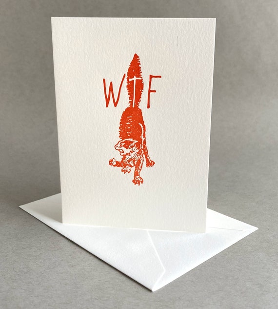 What the Fuck WTF Hilarious Cat Card Cat Lover Card Funny Sympathy Card  Offensive Card Funny Cat Art - Etsy