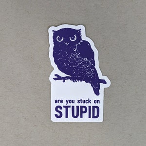 Stuck on Stupid Owl Sticker: Funny Offensive Humor, Waterproof Vinyl