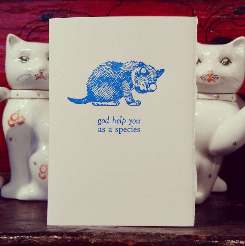 May include: A blue and white greeting card with a cartoon illustration of a cat. The text on the card reads "god help you as a species".