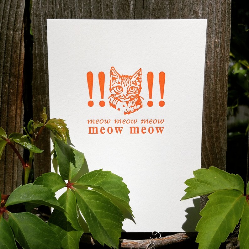 Puede incluir: Tarjeta naranja y blanca con un gato de dibujos animados y signos de exclamaci&oacute;n. El texto dice "meow meow meow meow meow".
